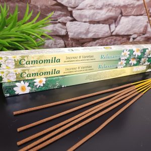 Camomila Unid. - Flute