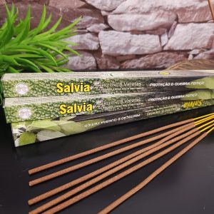 Salvia Unid. - Flute