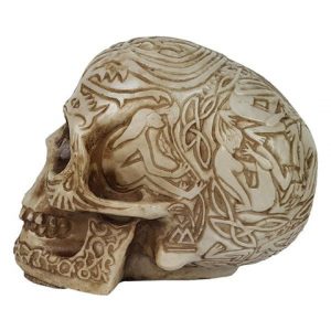 Crânio Tribal Inca - Imagem 5