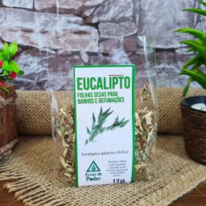 Eucalipto - Ervas