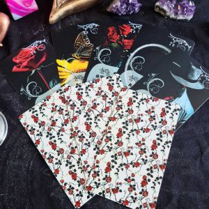 Tarô Dama da Noite Iniciantes 36 Cartas - Imagem 5