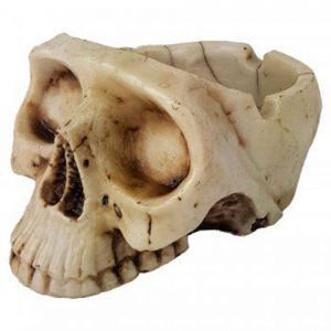 Crânio Cinzeiro MD - Imagem 3
