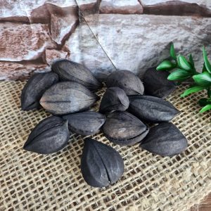 Fava Garra de Exu