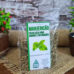 Manjericão - Ervas