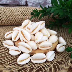 Búzios 50g