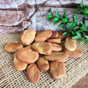 Fava de Iansã