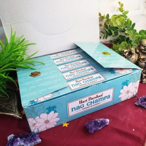 Nag Champa - Hari Darshan (Caixa C/ 25 Unidades) - Imagem 3