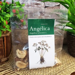 Angélica - Ervas