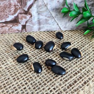 Fava de Preto Velho