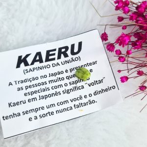 Talismã Kaeru - Sapinho da União