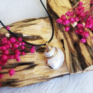 Colar Concha - Dourada - Imagem 4