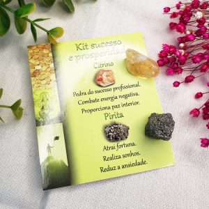 Kit para o Sucesso e Prosperidade