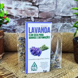 Lavanda - Ervas