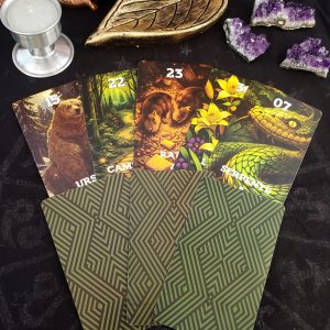 Oráculo Caminhos Ciganos 36 Cartas - Imagem 5