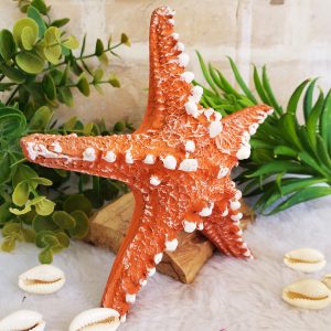Estrela do Mar 15cm - Laranja - Imagem 3