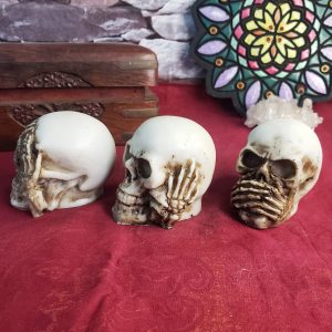 Trio de Crânios Sábios (Cego, Surdo e Mudo) - Imagem 3