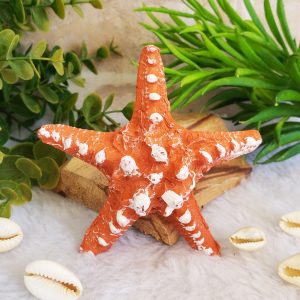 Estrela do Mar 9cm - Laranja