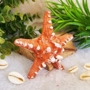 Estrela do Mar 9cm - Laranja - Imagem 3