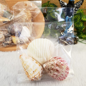 Mix de Conchas Mini - Imagem 6