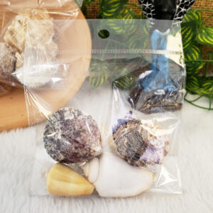 Mix de Conchas Mini - Imagem 3