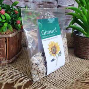 Girassol - Ervas - Imagem 5