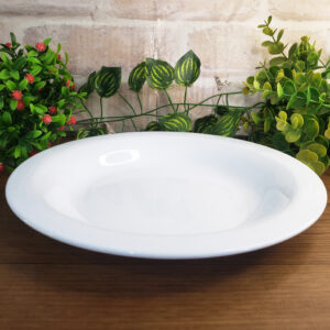 Prato Esmaltado 22cm